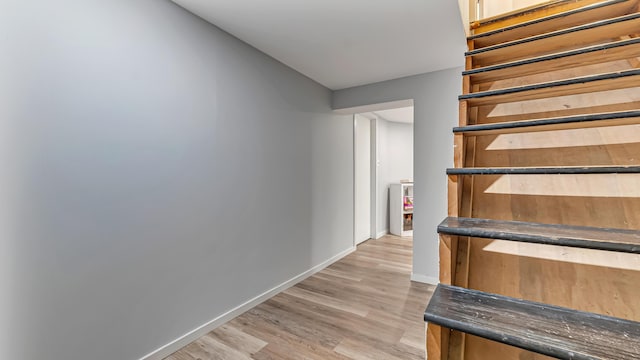 102 King Arthur Rd, Pocono Lake, PA 18347 - photo 50