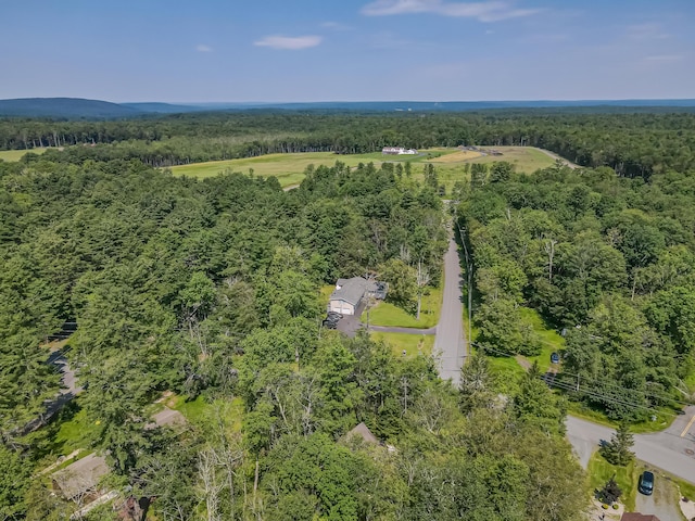 102 King Arthur Rd, Pocono Lake, PA 18347 - photo 61