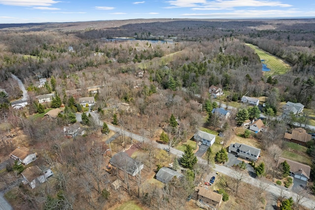 7724 Apple Ln, Tobyhanna, PA 18466 - aerial view of property and surrounding area featuring a forest and a large body of water