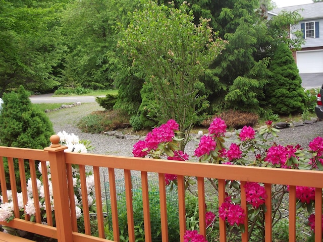 7724 Apple Ln, Tobyhanna, PA 18466 - view of yard