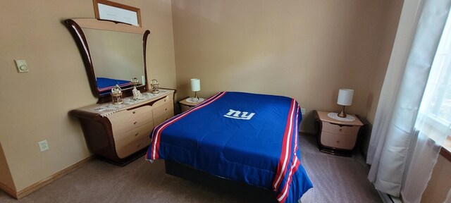 25 Byron Ln, Albrightsville, PA 18210 - bedroom with carpet and baseboards