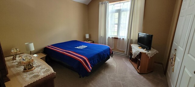 25 Byron Ln, Albrightsville, PA 18210 - view of carpeted bedroom