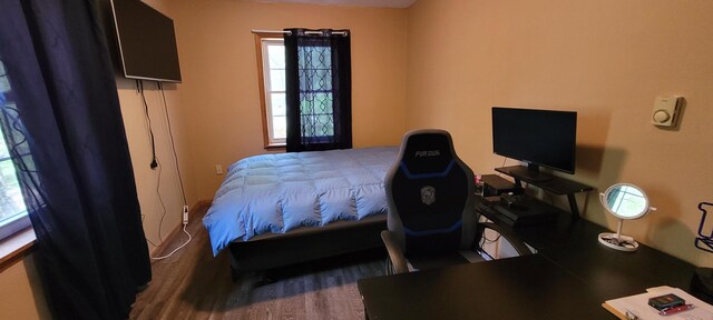 25 Byron Ln, Albrightsville, PA 18210 - bedroom featuring wood finished floors and multiple windows