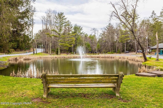 view of home's community featuring a water view and a yard