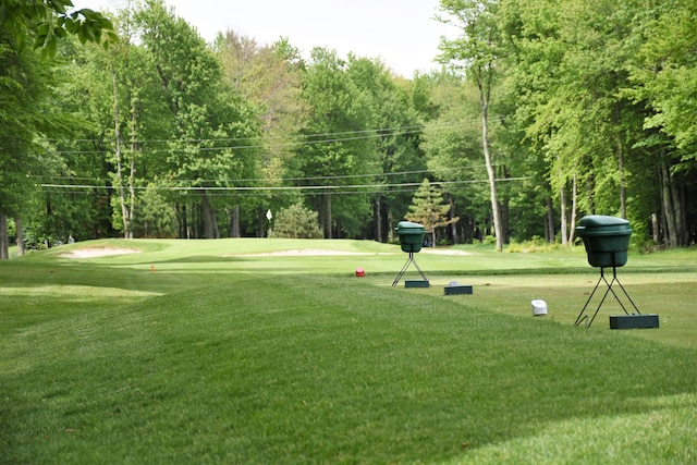 view of community with a lawn