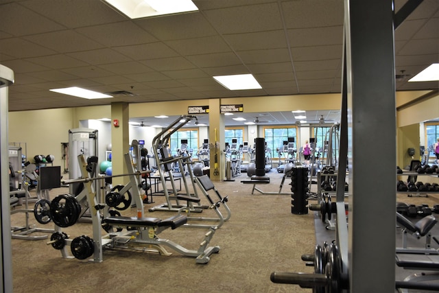 exercise room featuring carpet and a drop ceiling