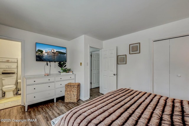 bedroom with dark hardwood / wood-style flooring, connected bathroom, and a closet