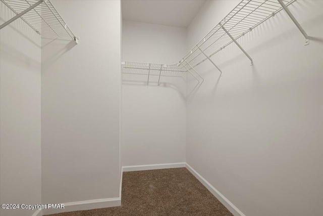 spacious closet with carpet floors