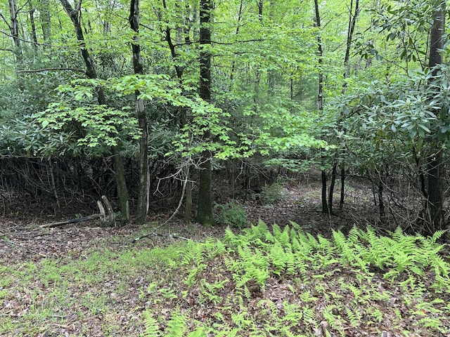 W14 Green Wood Dr, Kunkletown, PA 18058