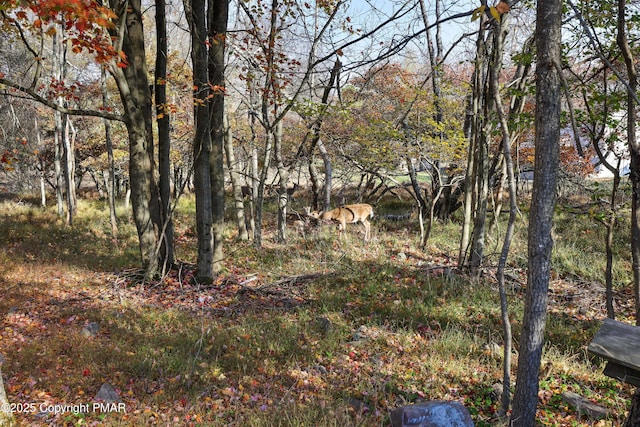 view of landscape