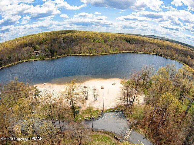 158 Azalea Dr, Albrightsville, PA 18210 - photo 54