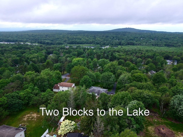 158 Azalea Dr, Albrightsville, PA 18210 - photo 10