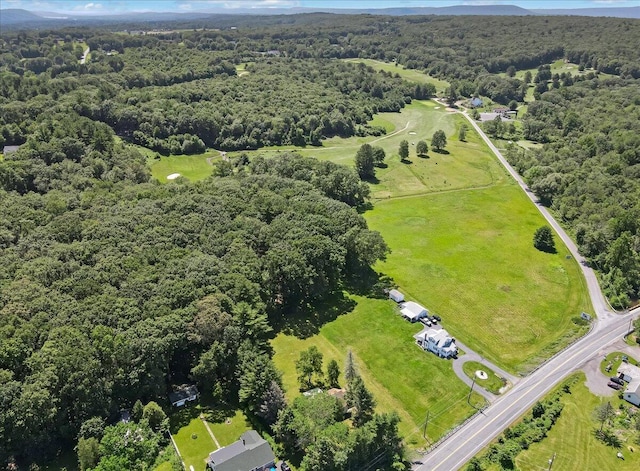 207 Scenic Dr, Kunkletown, PA 18058 - drone / aerial view of a heavily wooded area