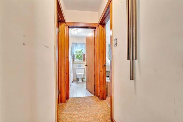 207 Scenic Dr, Kunkletown, PA 18058 - hall with light carpet