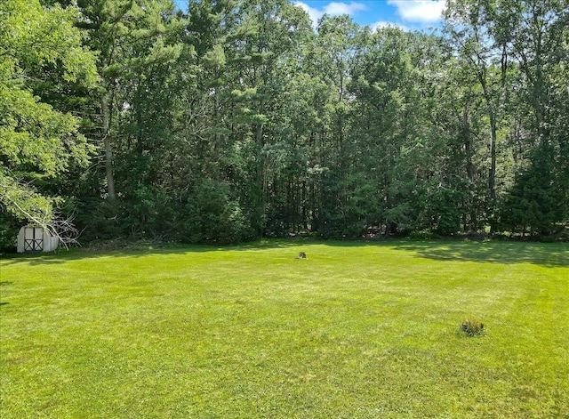 207 Scenic Dr, Kunkletown, PA 18058 - view of green lawn with a storage unit