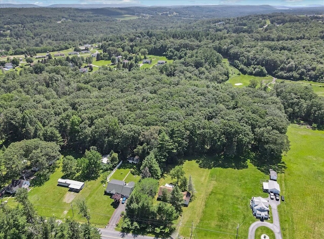 207 Scenic Dr, Kunkletown, PA 18058 - aerial view of a heavily wooded area