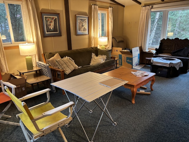 200 Onocop Dr, Pocono Lake, PA 18347 - living area with carpet