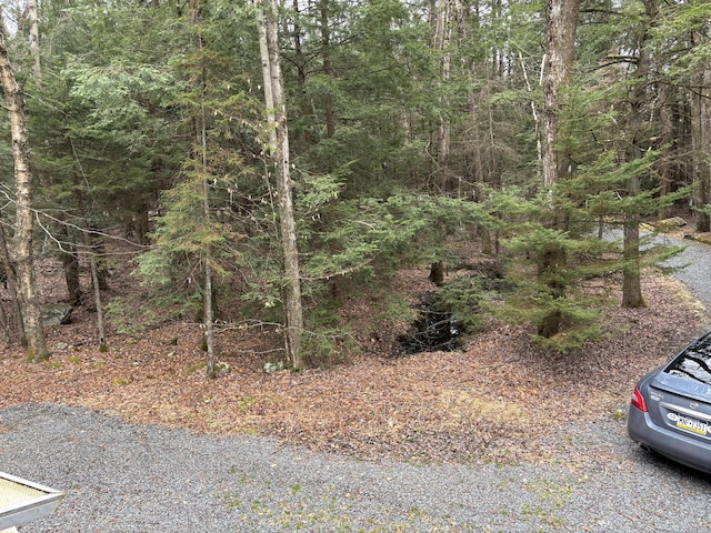 200 Onocop Dr, Pocono Lake, PA 18347 - view of landscape featuring a forest view