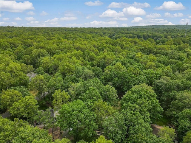 201 Buckhill Rd, Albrightsville, PA 18210 - photo 21