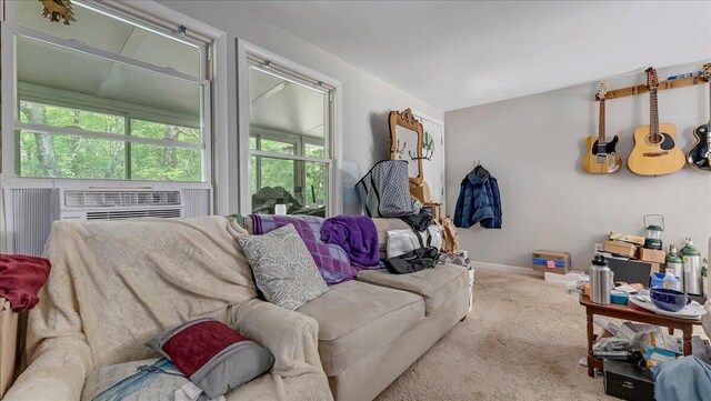 201 Buckhill Rd, Albrightsville, PA 18210 - photo 6