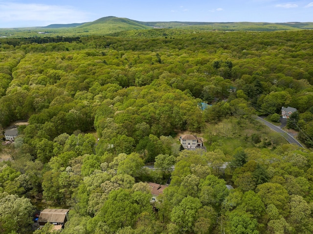 113 Hemlock Rd, Tannersville, PA 18372 - photo 64