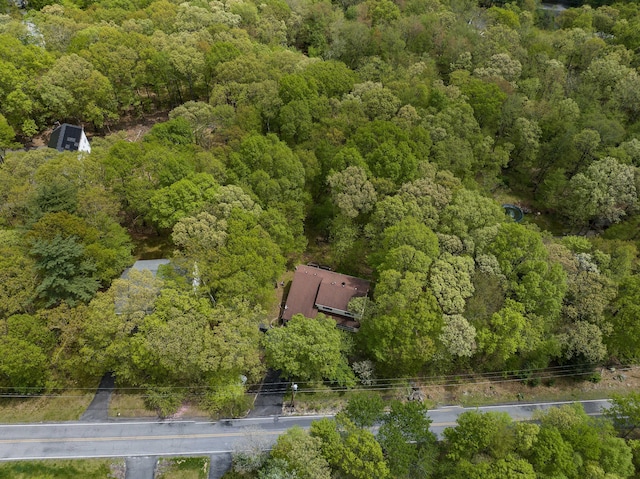 113 Hemlock Rd, Tannersville, PA 18372 - photo 60