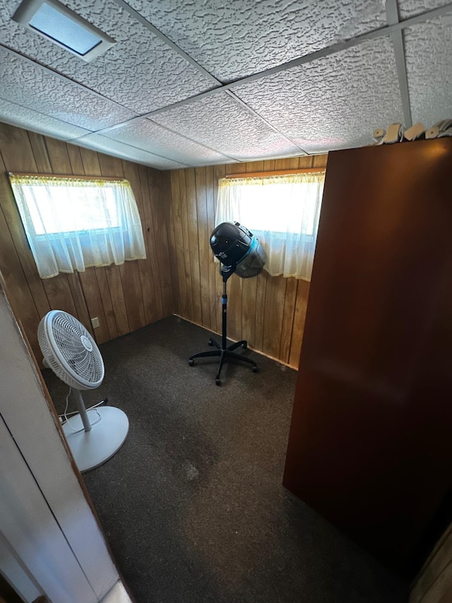 workout area with wood walls, plenty of natural light, and carpet floors