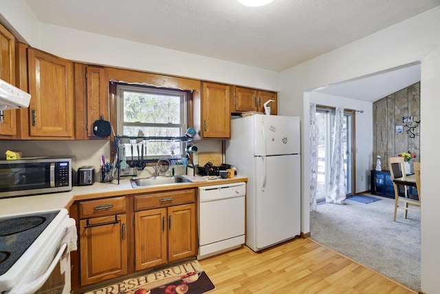 kitchen featuring light wood-style flooring, a sink, white appliances, brown cabinetry, and light countertops