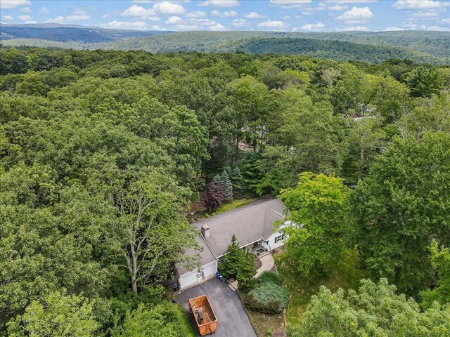 742 White Oak Rd, Cresco, PA 18326 - view of subject property with a forest