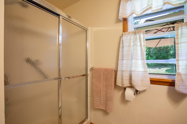 7035 Scenic Dr, Bloomsburg, PA 17815 - full bathroom with a shower with shower door
