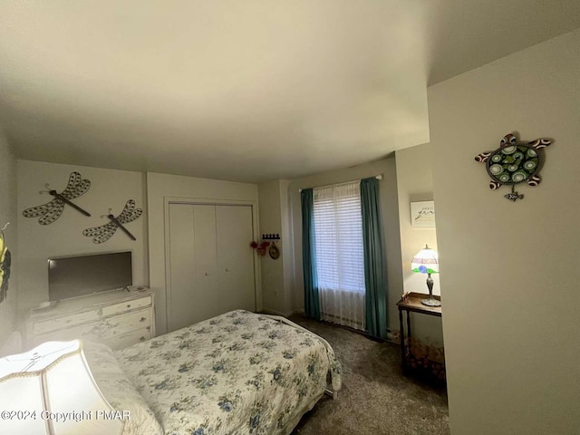 carpeted bedroom featuring a closet