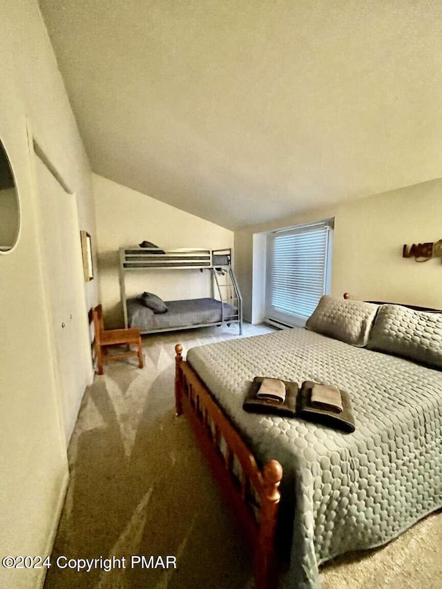 carpeted bedroom with lofted ceiling