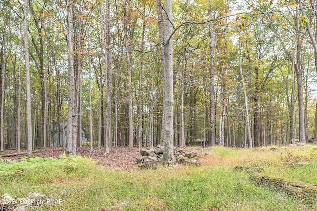 view of local wilderness with a wooded view