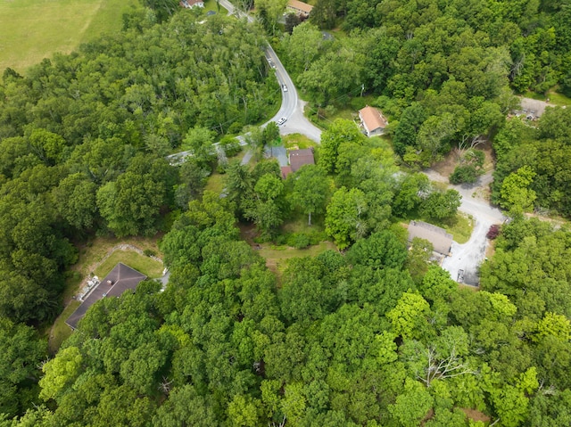 157 Hollow Rd, East Stroudsburg, PA 18302 - view of property location with a heavily wooded area