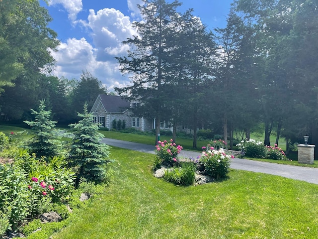 117 Morning Side Ter, East Stroudsburg, PA 18302 - view of yard