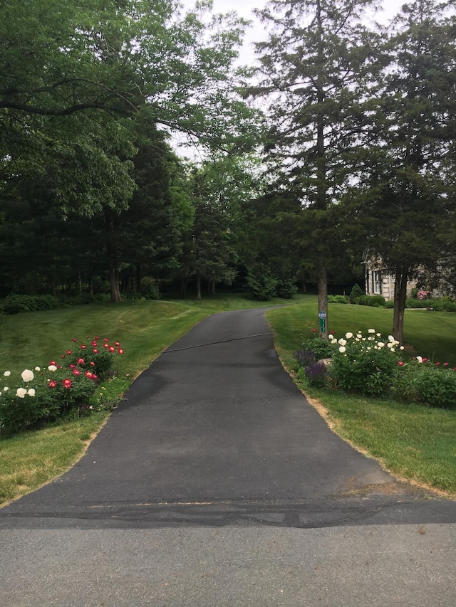 117 Morning Side Ter, East Stroudsburg, PA 18302 - view of road