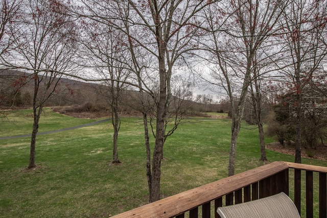 117 Morning Side Ter, East Stroudsburg, PA 18302 - view of yard