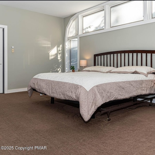 bedroom with baseboards and carpet floors