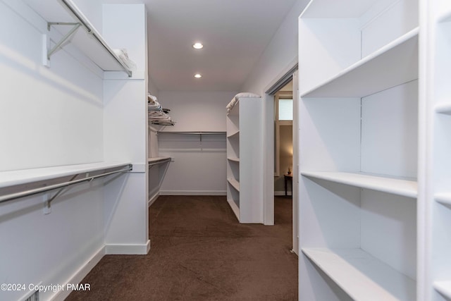 walk in closet with dark carpet