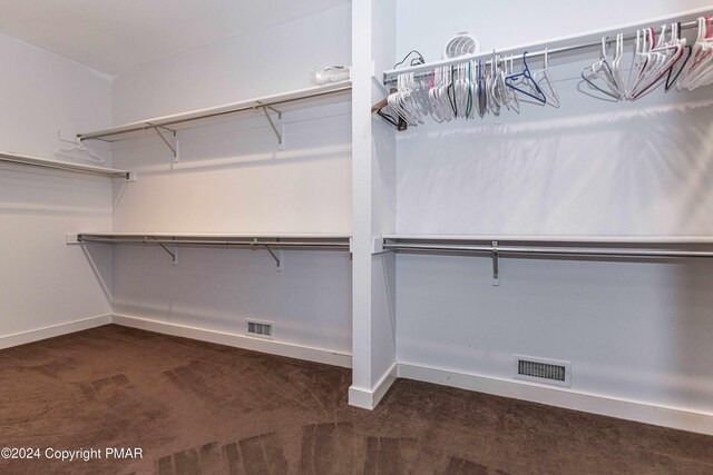 spacious closet featuring visible vents and carpet flooring