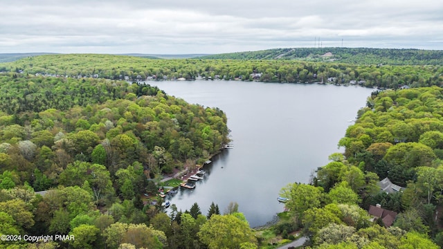 bird's eye view featuring a view of trees and a water view