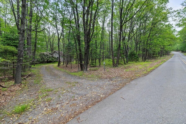 1371 Brian Ln, Effort, PA 18330 - view of street with a wooded view