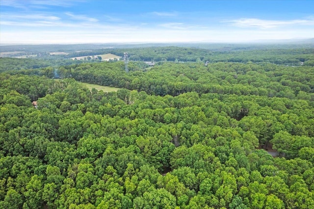 1371 Brian Ln, Effort, PA 18330 - bird's eye view of a forest