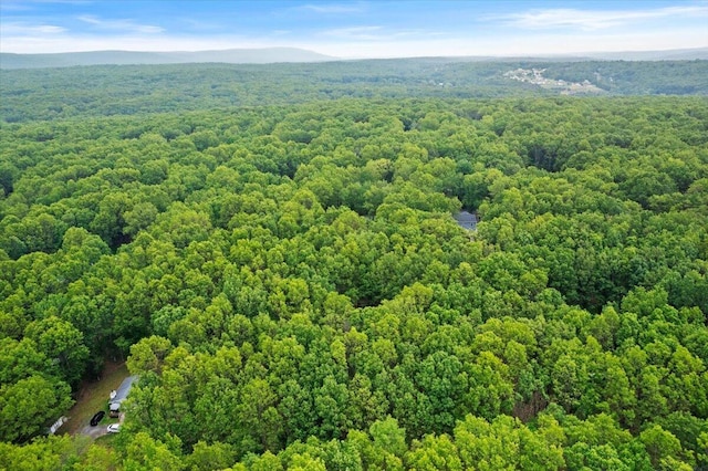 1371 Brian Ln, Effort, PA 18330 - aerial view of a heavily wooded area