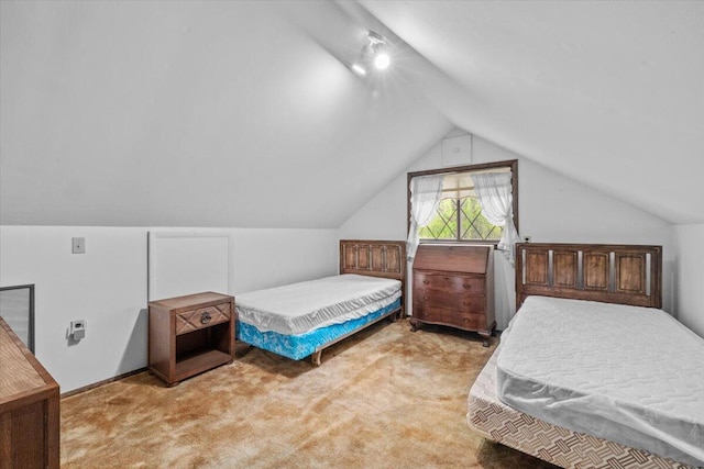 1371 Brian Ln, Effort, PA 18330 - carpeted bedroom featuring lofted ceiling