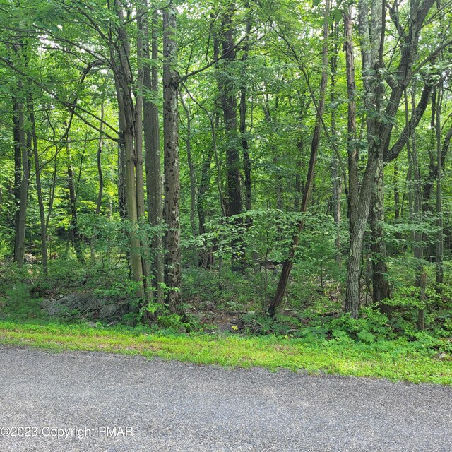 Listing photo 2 for Cypress Dr, Jim Thorpe PA 18229