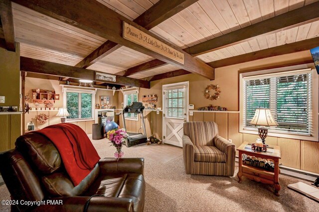 carpeted living room with beam ceiling, plenty of natural light, wooden ceiling, and wood walls