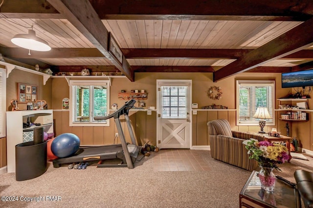 exercise area featuring wood ceiling, a healthy amount of sunlight, and light carpet