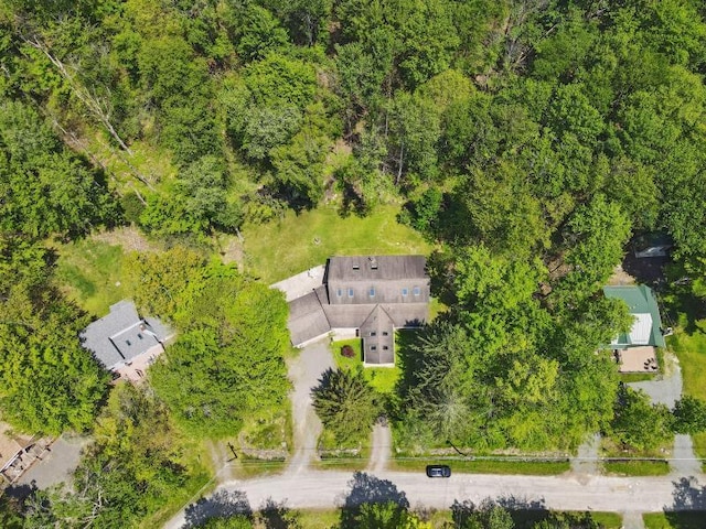 5153 Cresco Dr, Pocono Lake, PA 18347 - aerial view