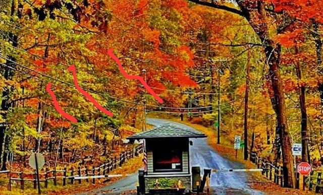 Mallard, Bushkill, PA 18324